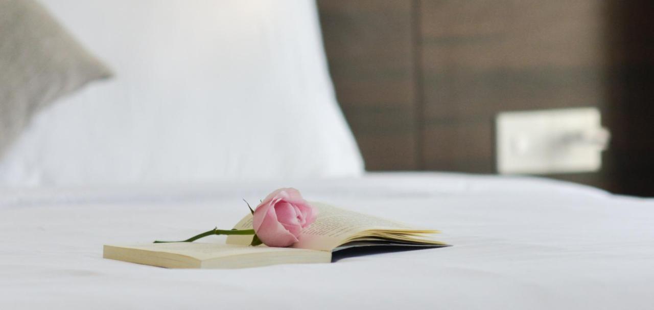 Yen Vang Hotel & Apartment נה טראנג מראה חיצוני תמונה